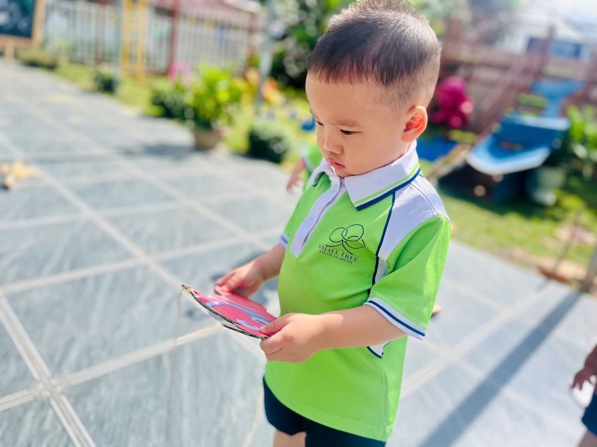 Ảnh hoạt động