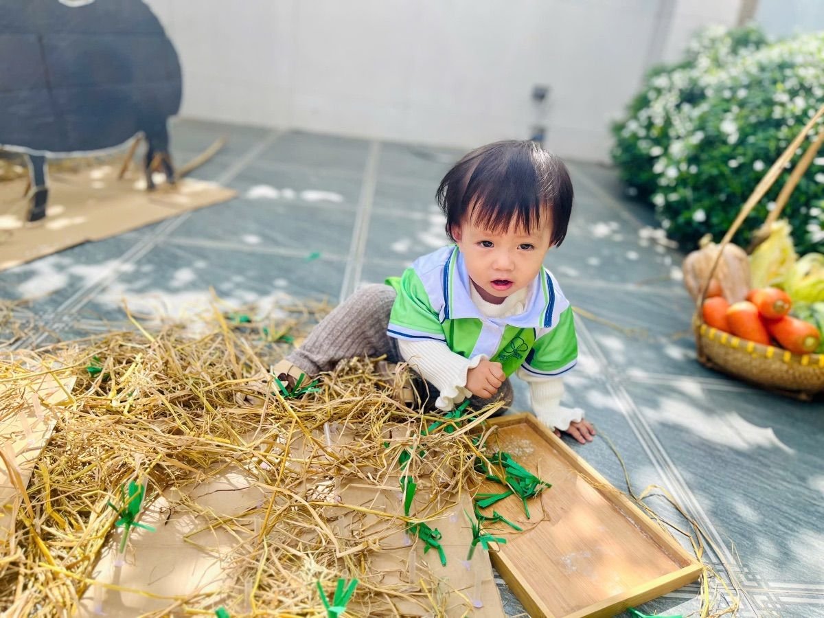 Ảnh hoạt động