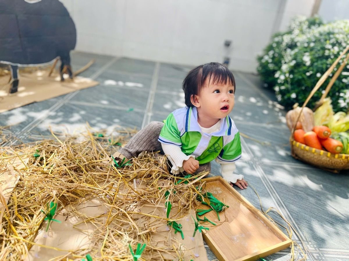 Ảnh hoạt động
