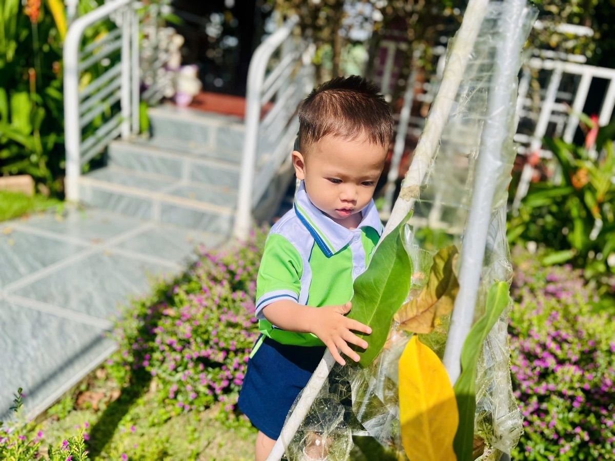 Ảnh hoạt động
