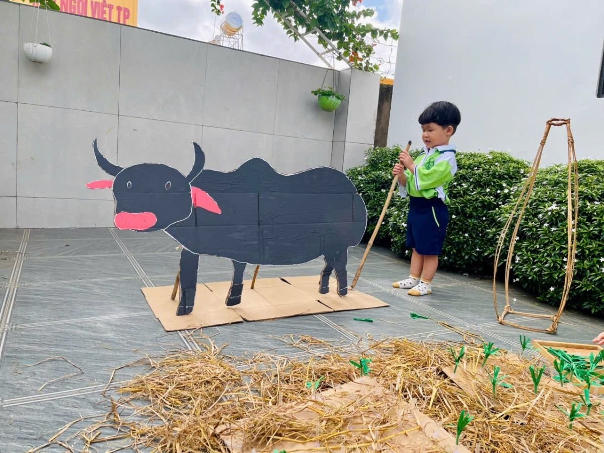 Ảnh hoạt động