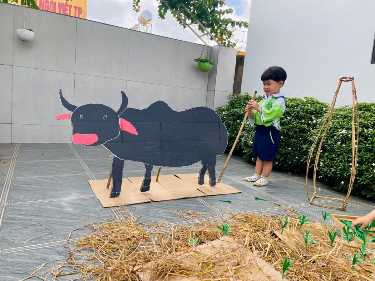 Ảnh hoạt động