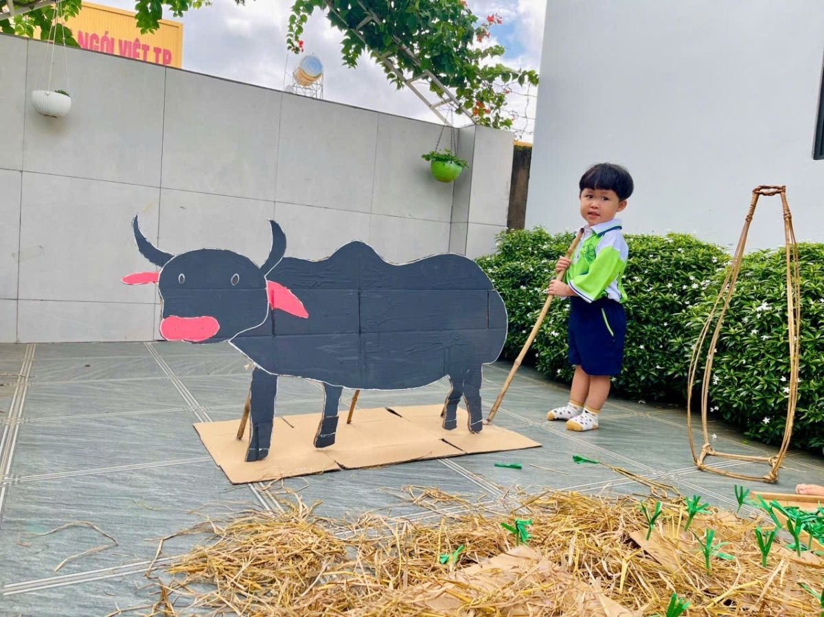 Ảnh hoạt động