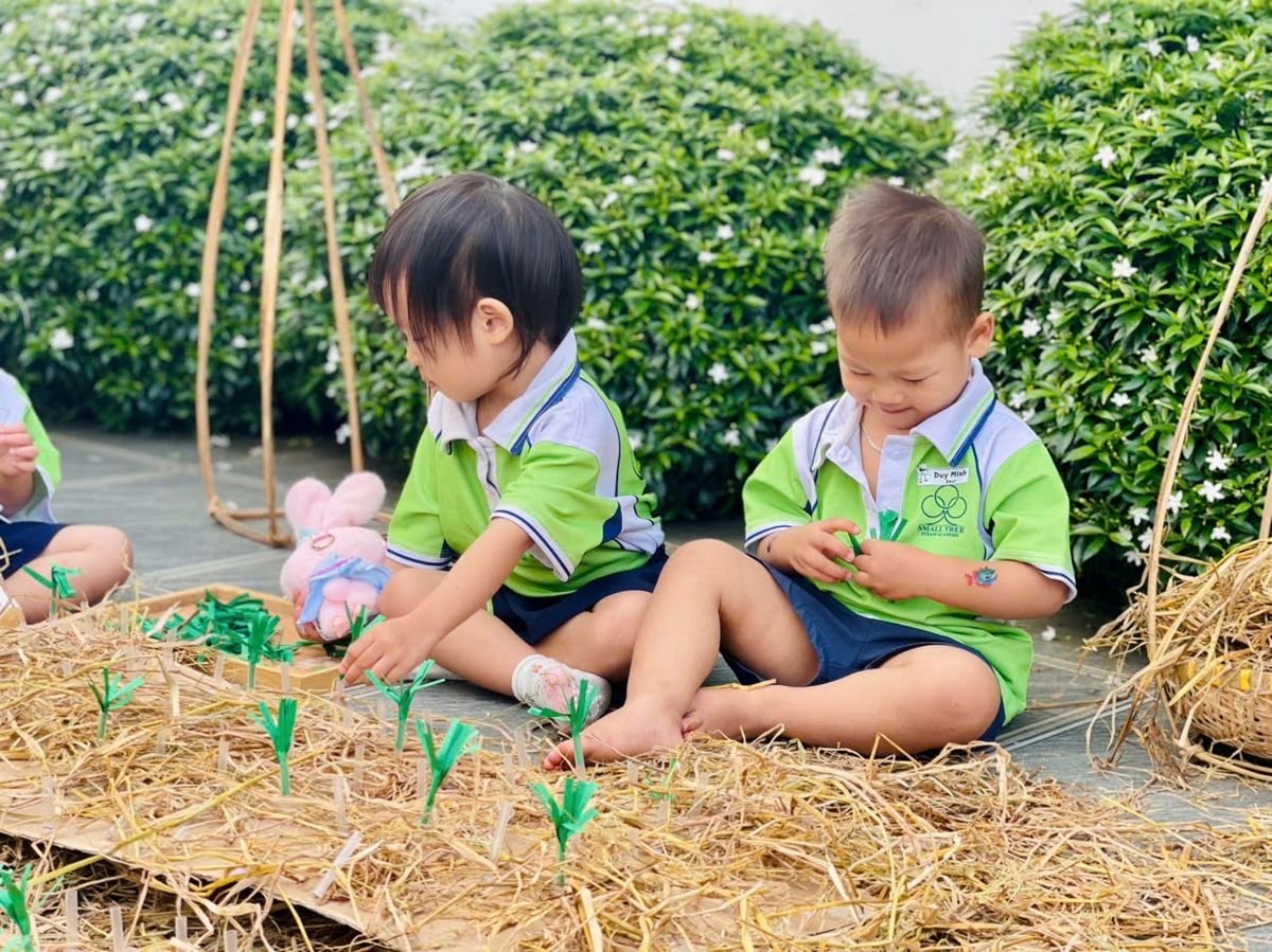 Ảnh hoạt động