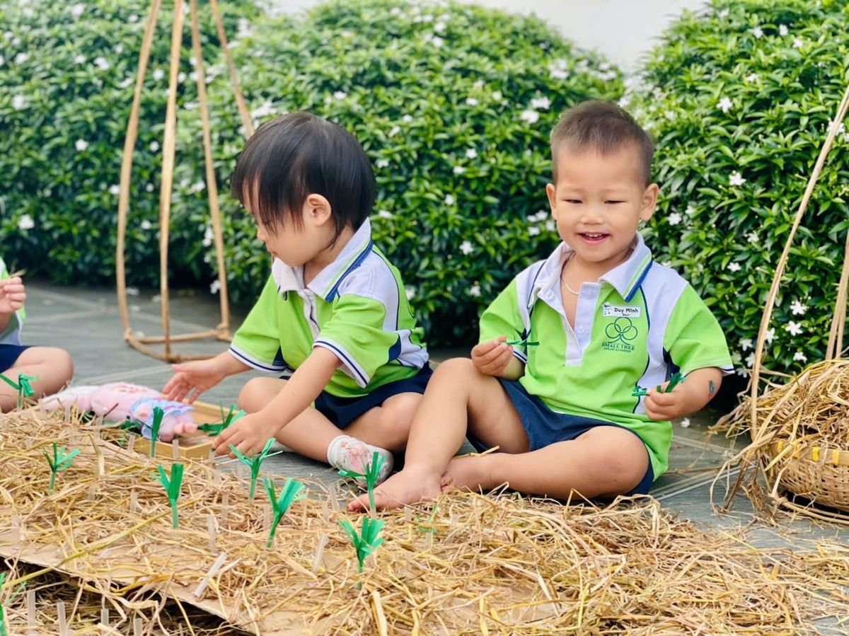 Ảnh hoạt động