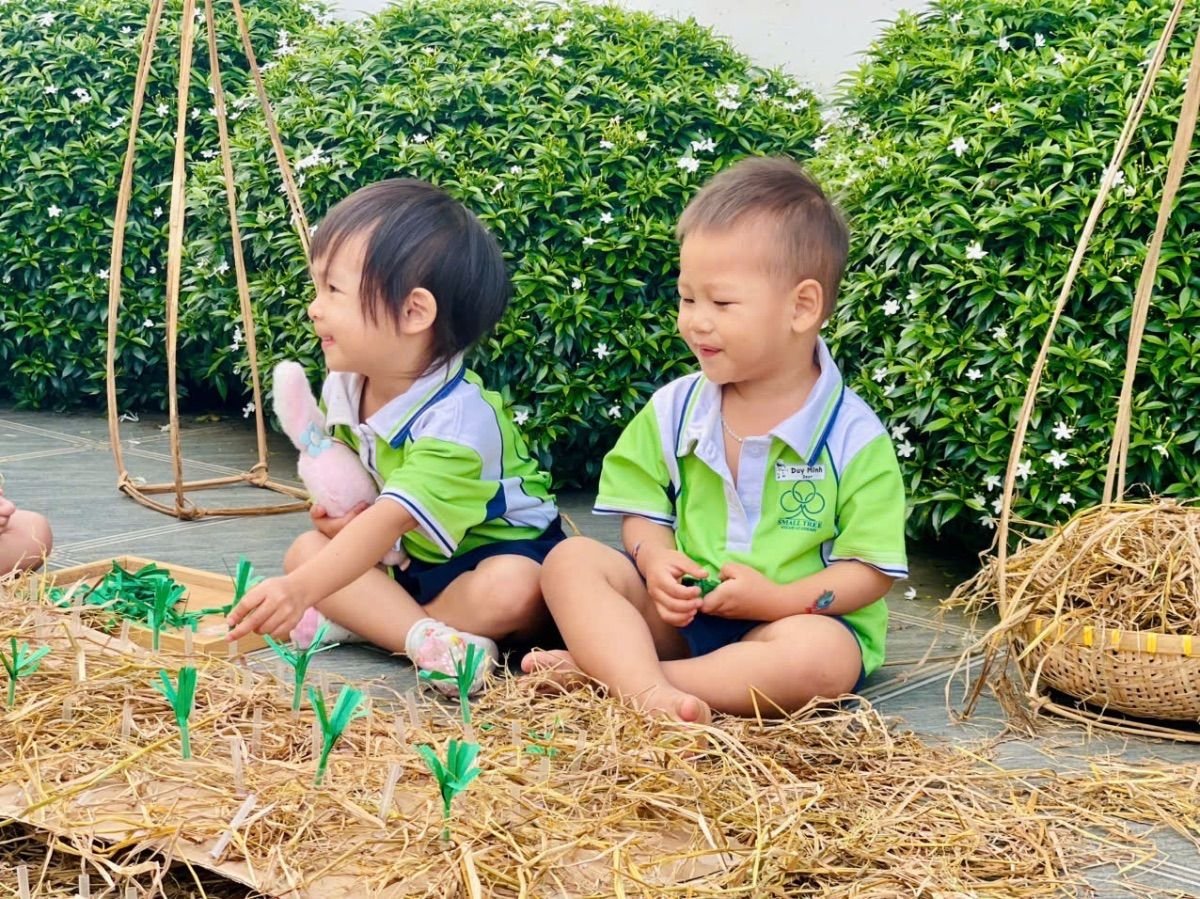 Ảnh hoạt động