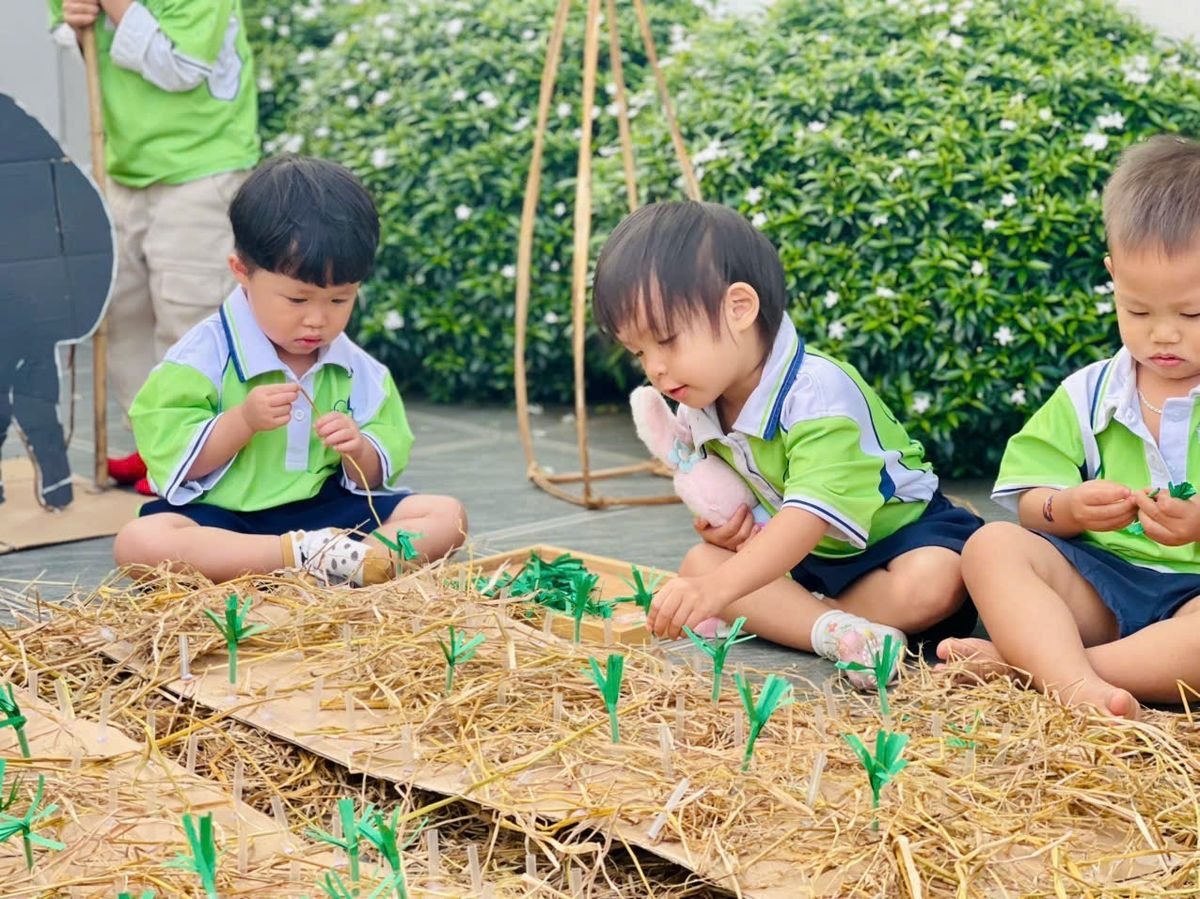 Ảnh hoạt động