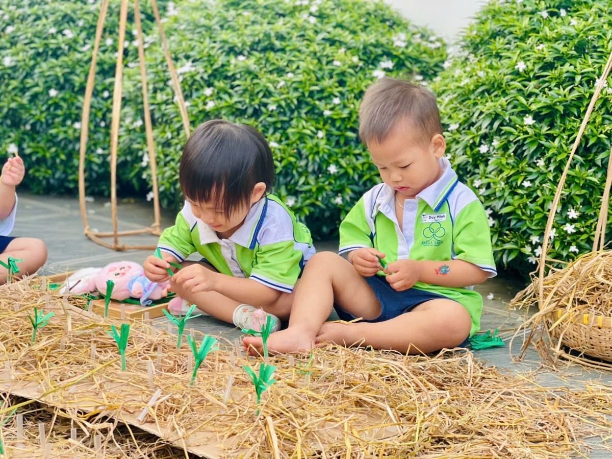 Ảnh hoạt động
