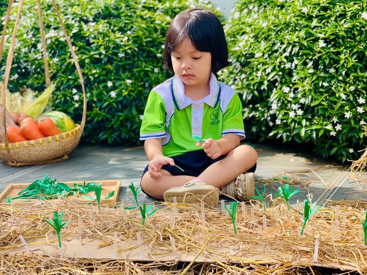 Ảnh hoạt động