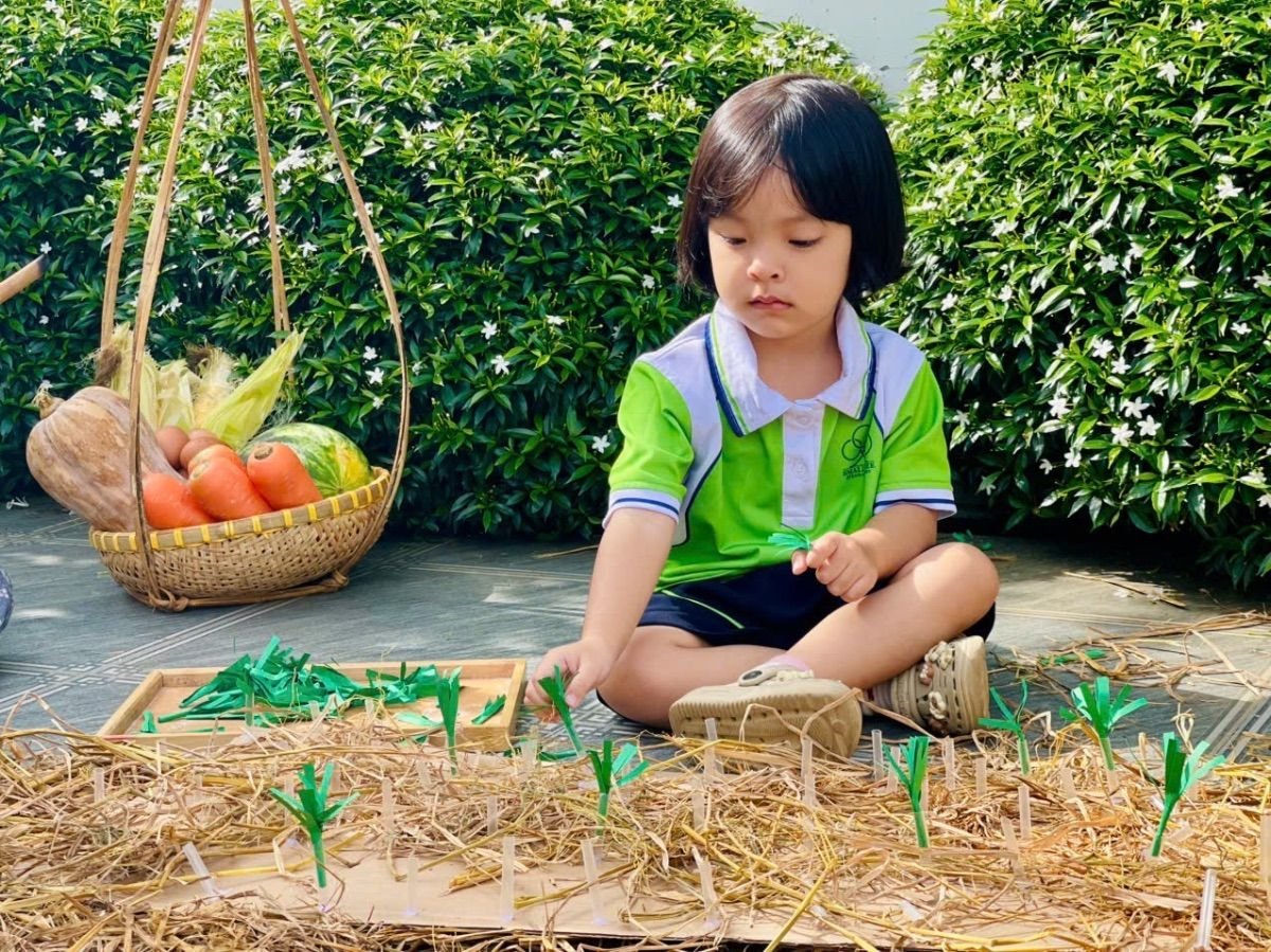 Ảnh hoạt động
