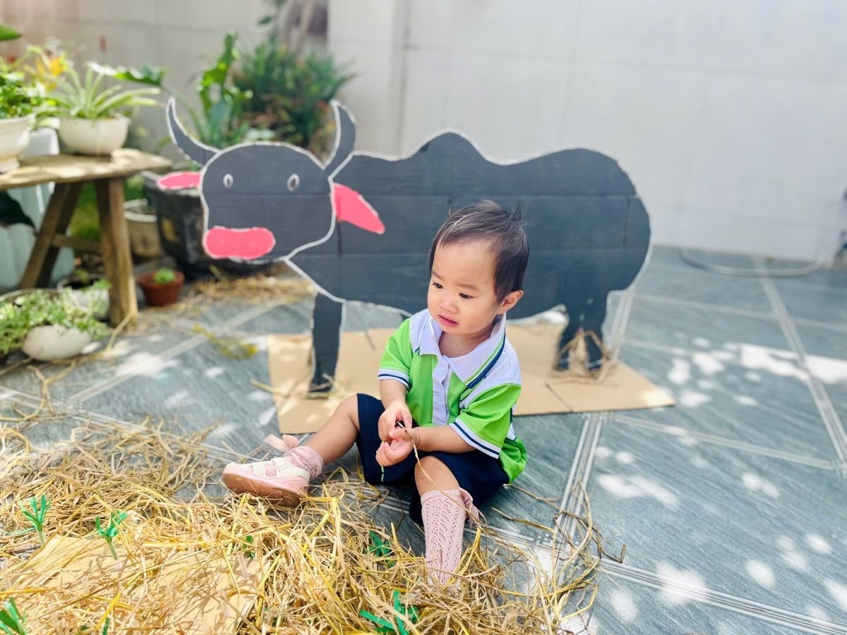 Ảnh hoạt động