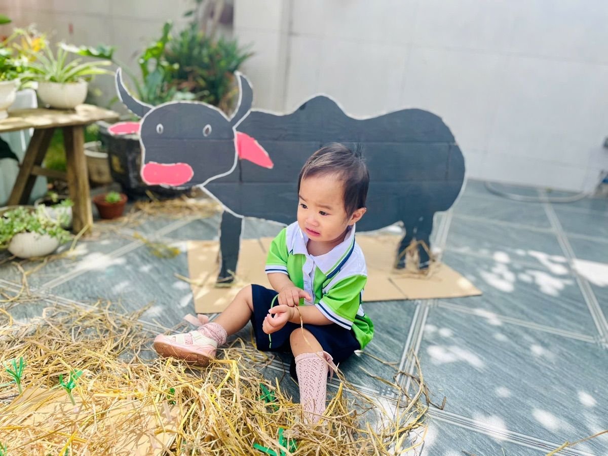 Ảnh hoạt động