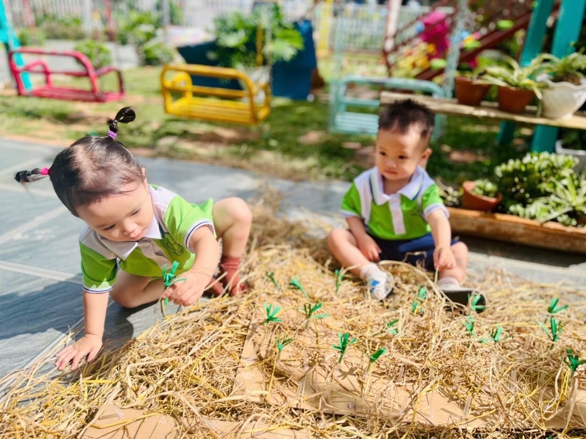 Ảnh hoạt động