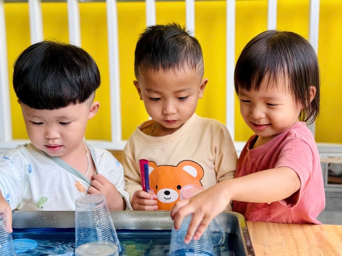 Ảnh hoạt động