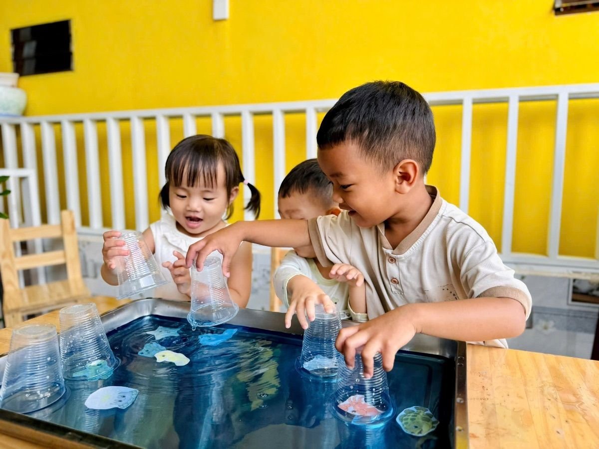 Ảnh hoạt động