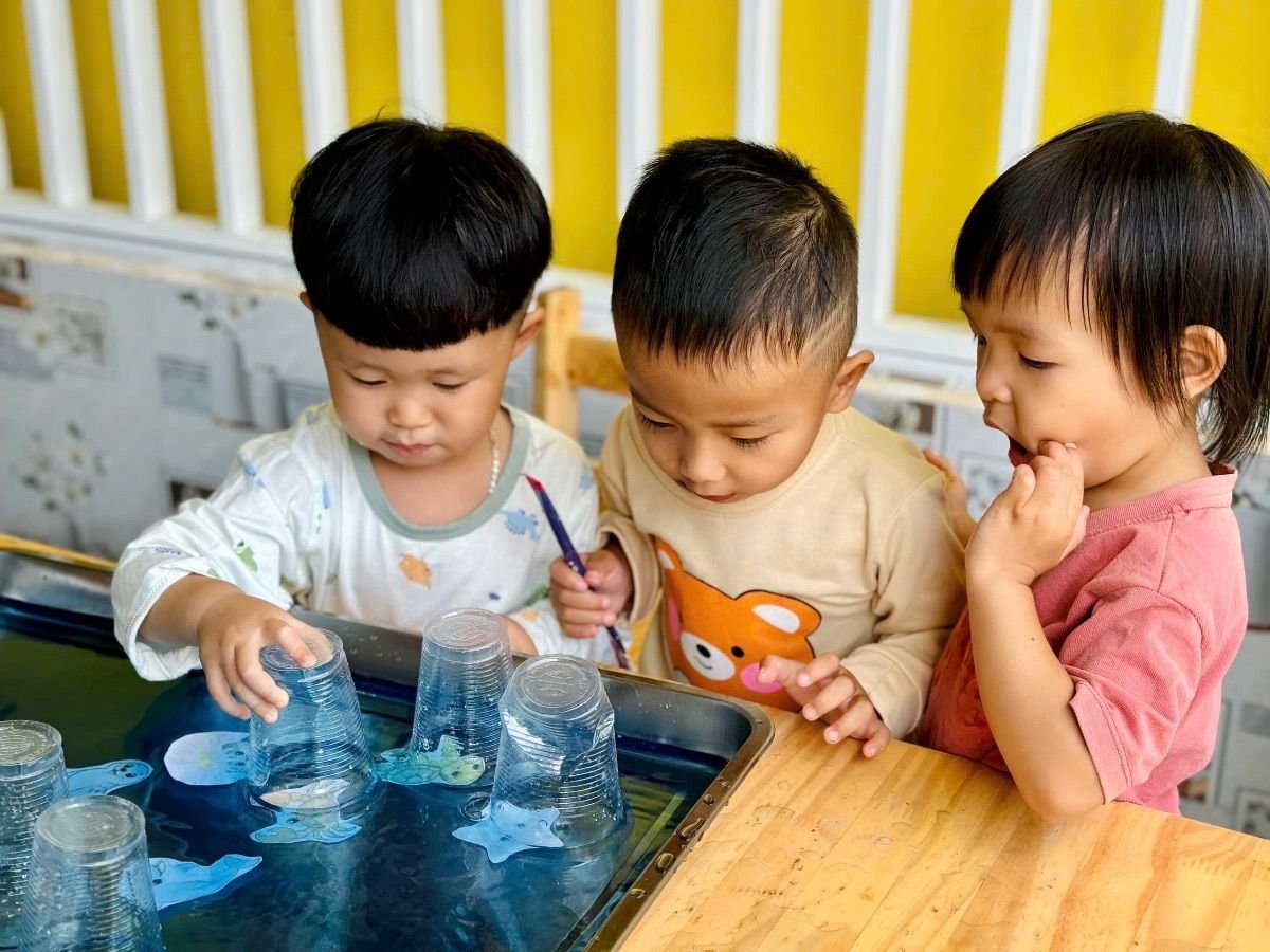 Ảnh hoạt động