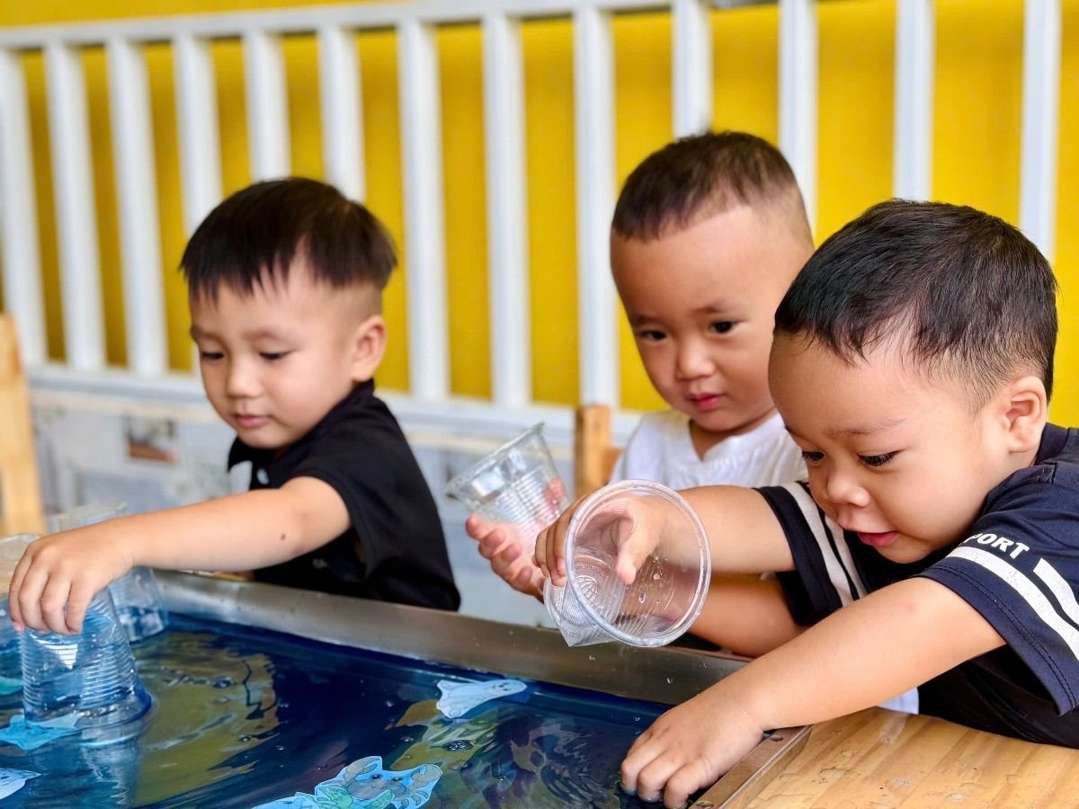 Ảnh hoạt động