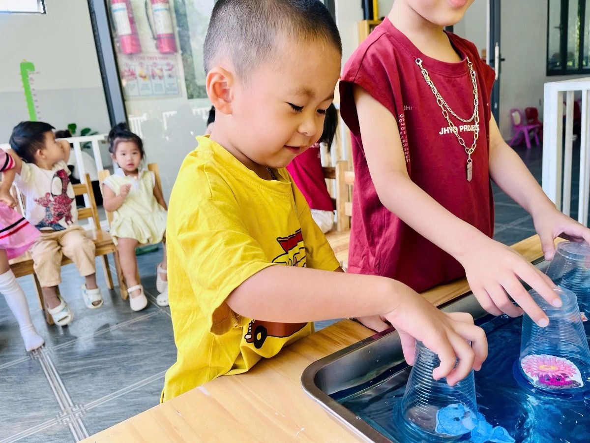 Ảnh hoạt động