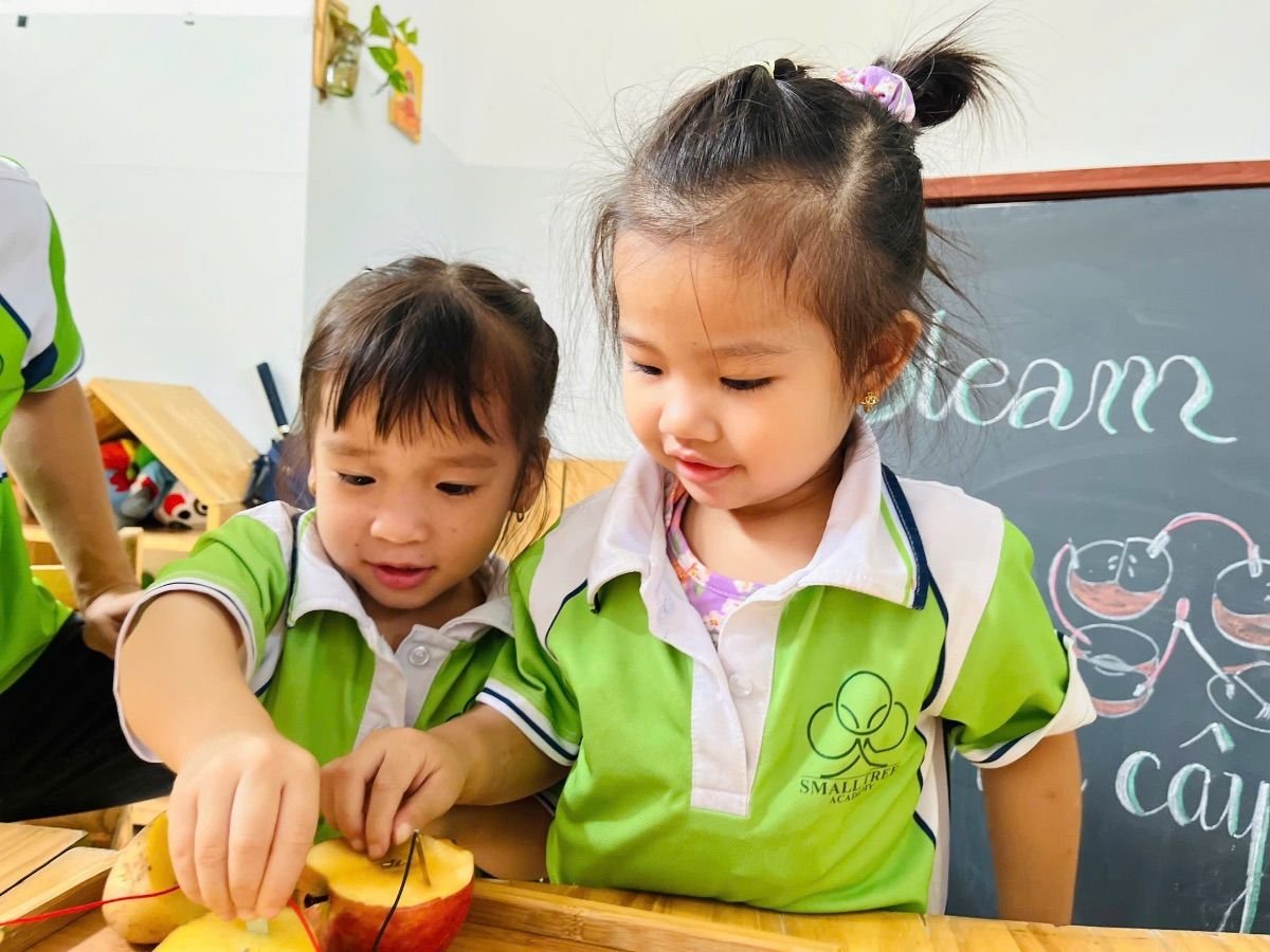 Ảnh hoạt động