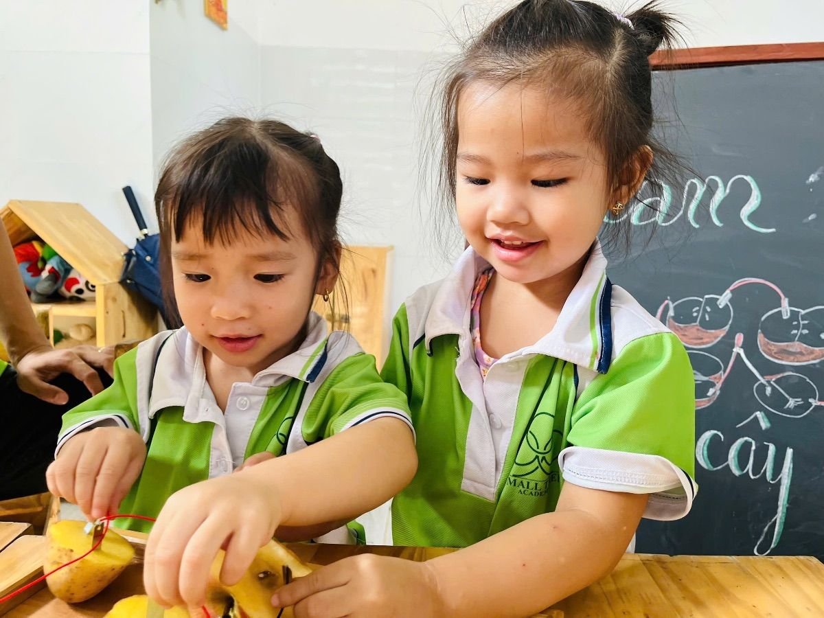 Ảnh hoạt động