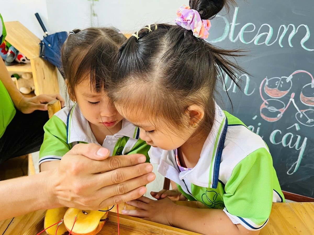 Ảnh hoạt động
