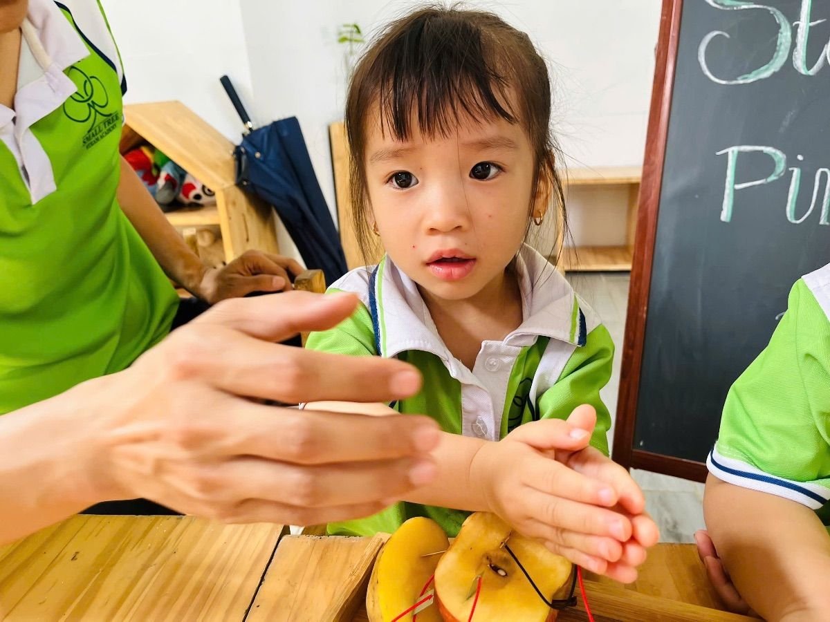 Ảnh hoạt động