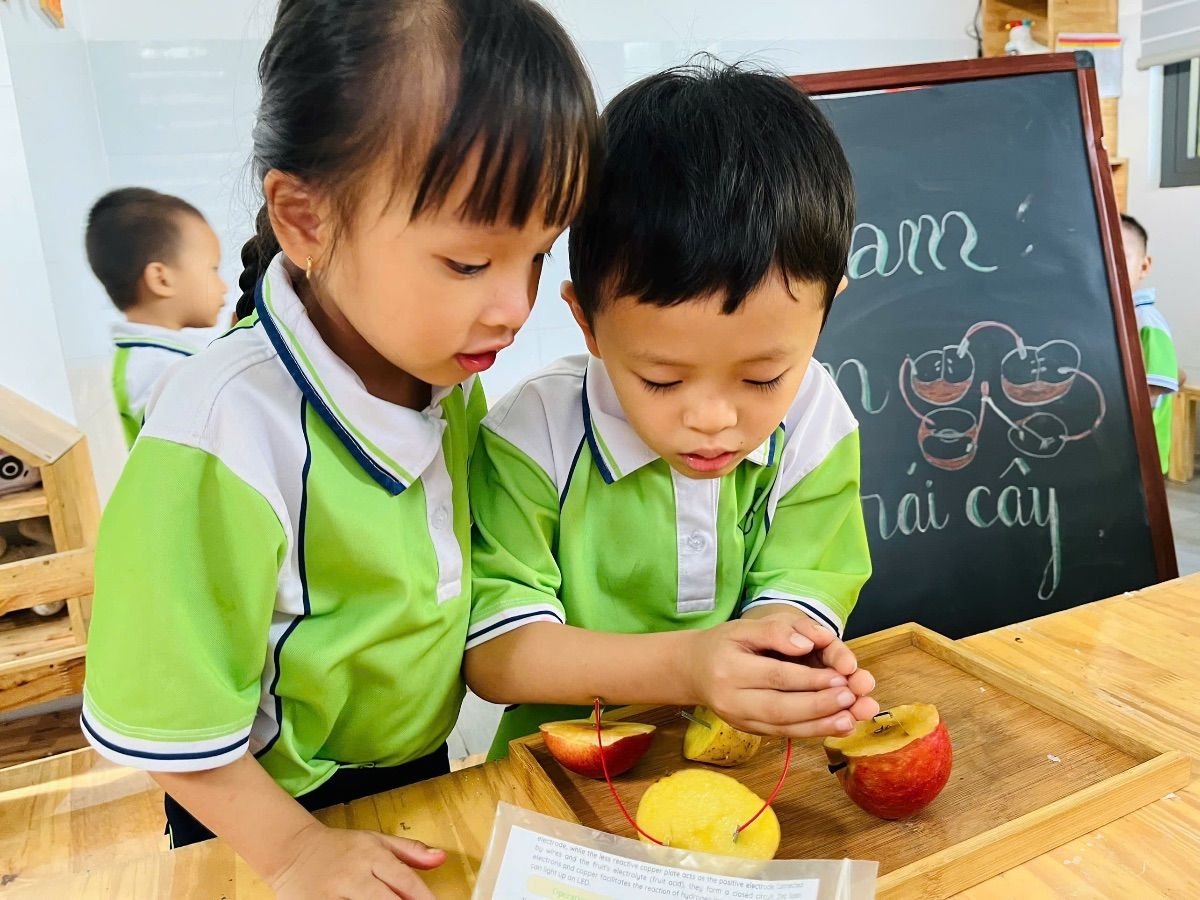 Ảnh hoạt động