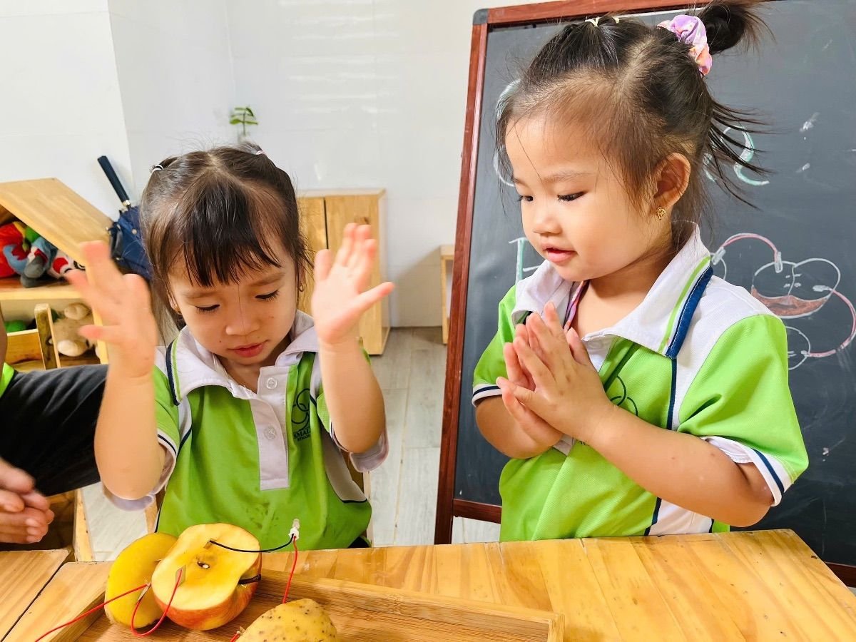Ảnh hoạt động