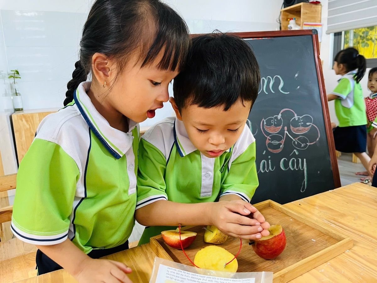 Ảnh hoạt động
