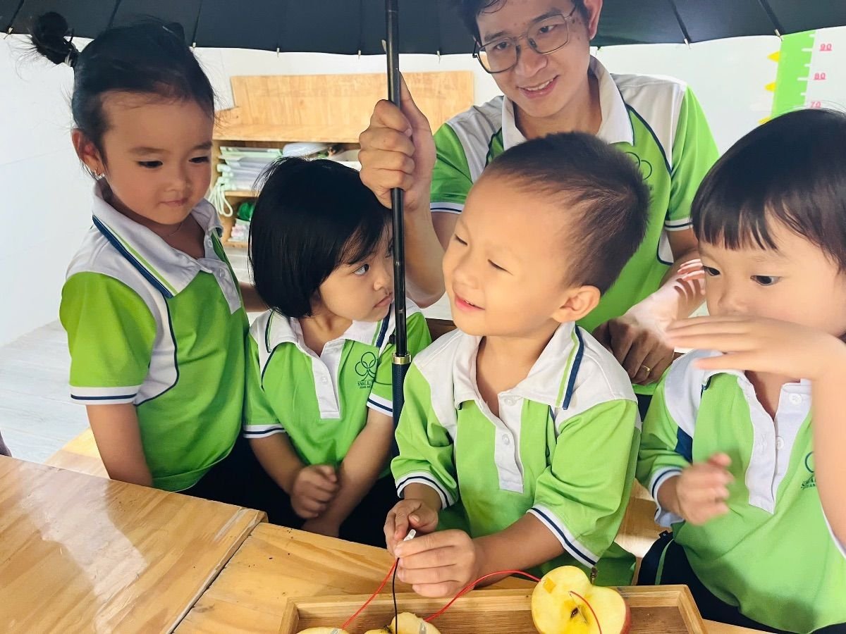 Ảnh hoạt động