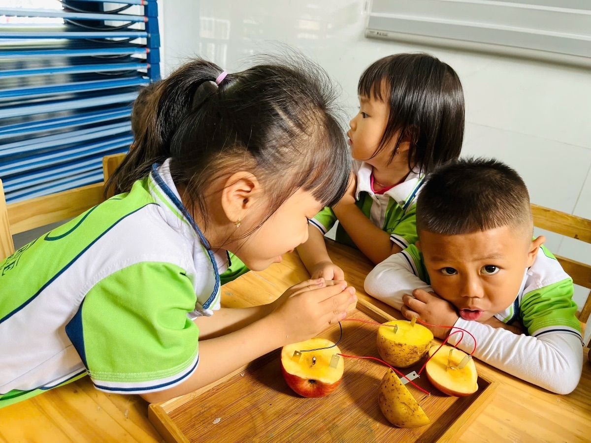 Ảnh hoạt động