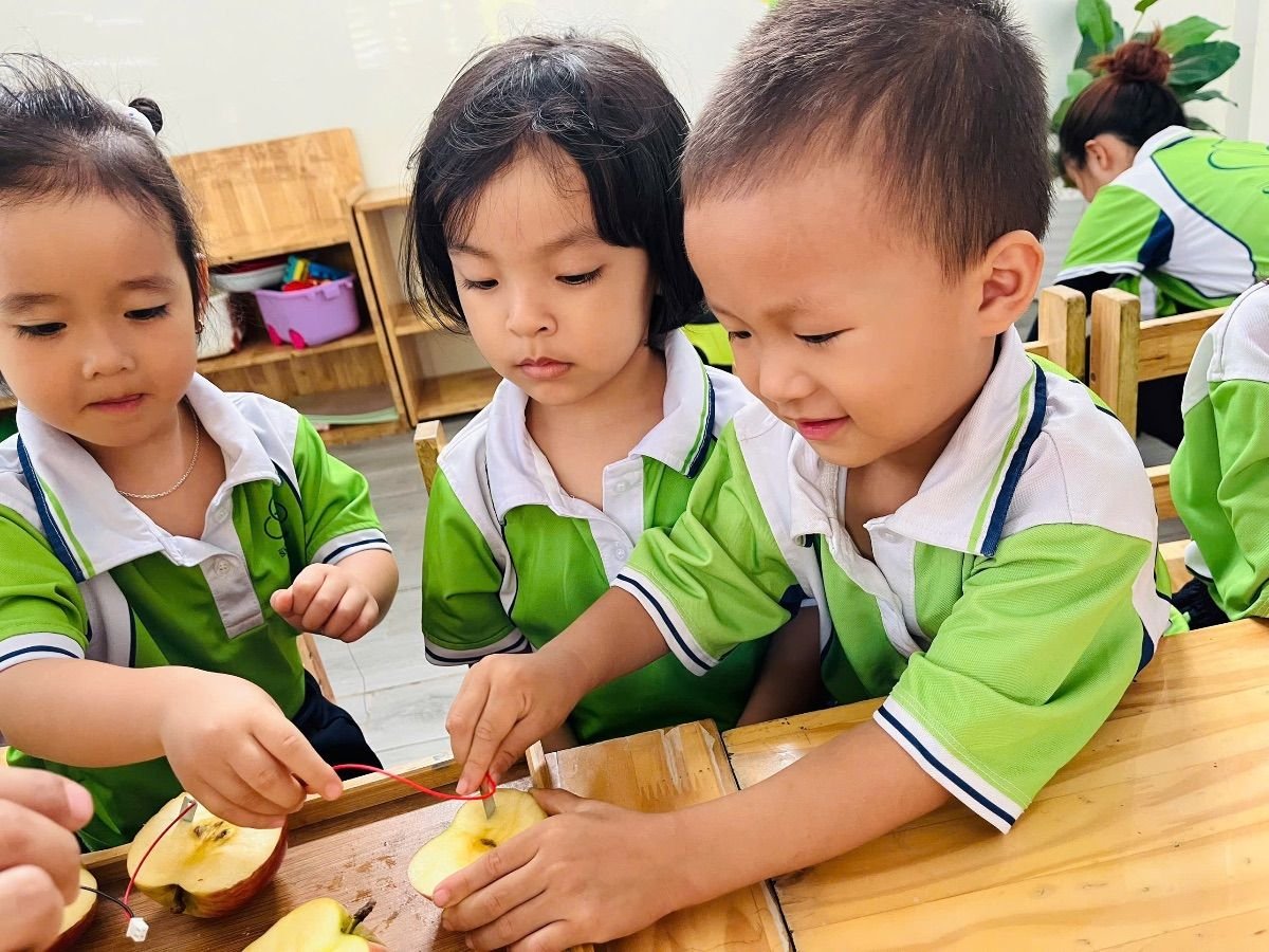 Ảnh hoạt động