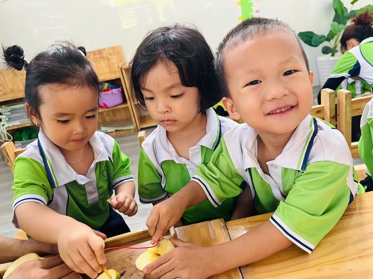 Ảnh hoạt động