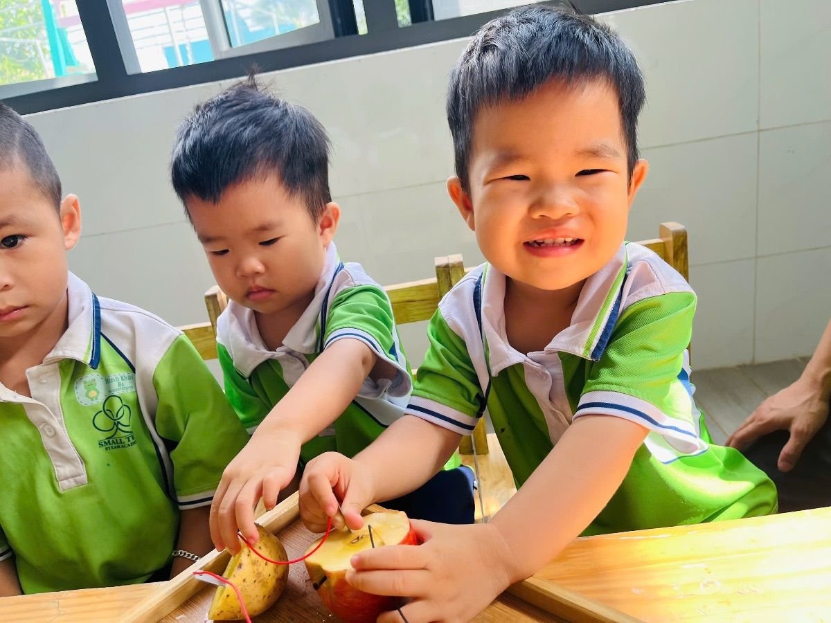 Ảnh hoạt động