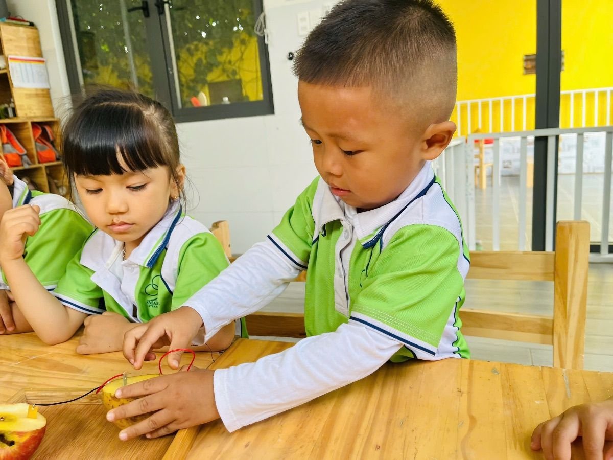 Ảnh hoạt động