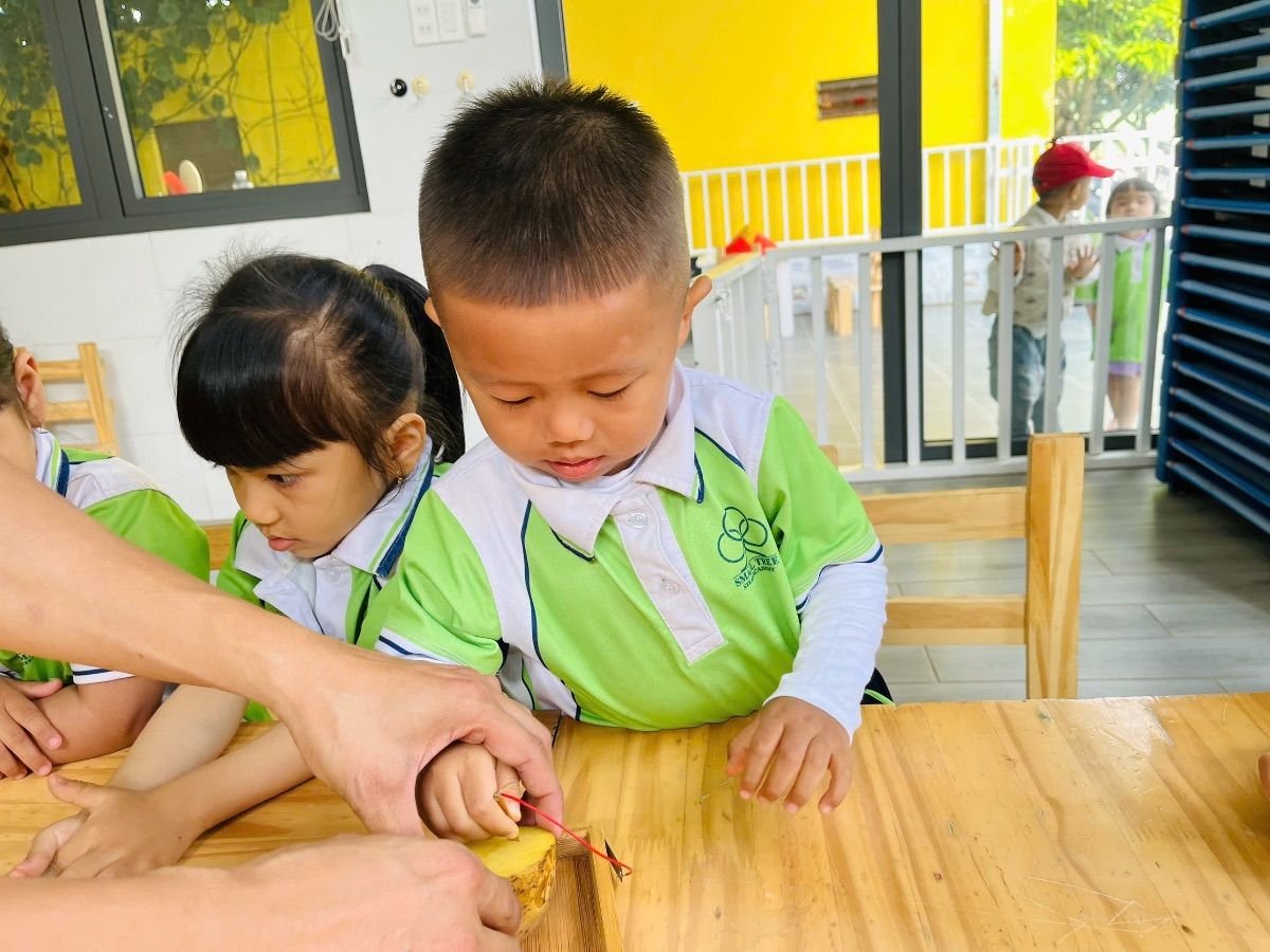 Ảnh hoạt động