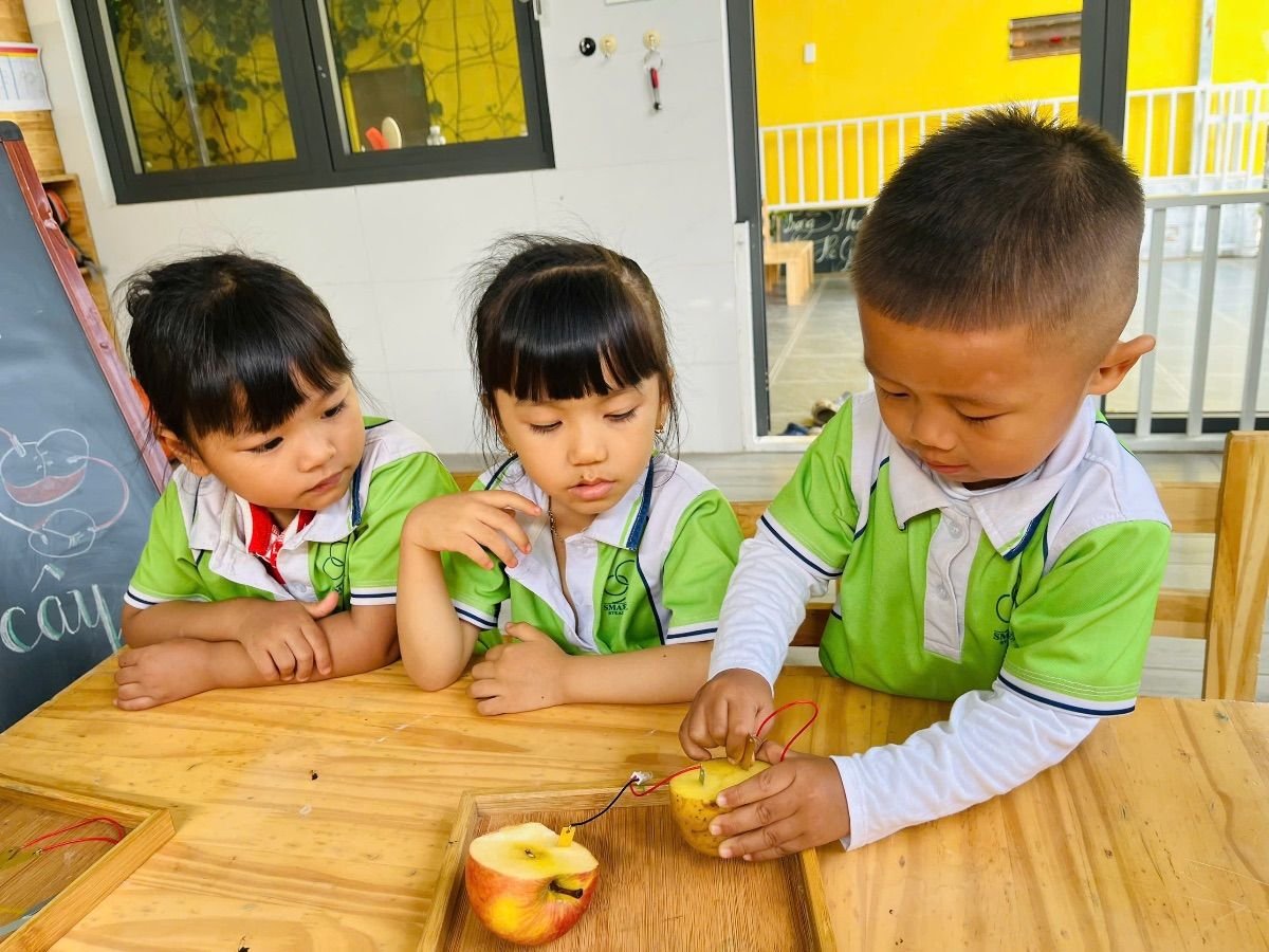 Ảnh hoạt động