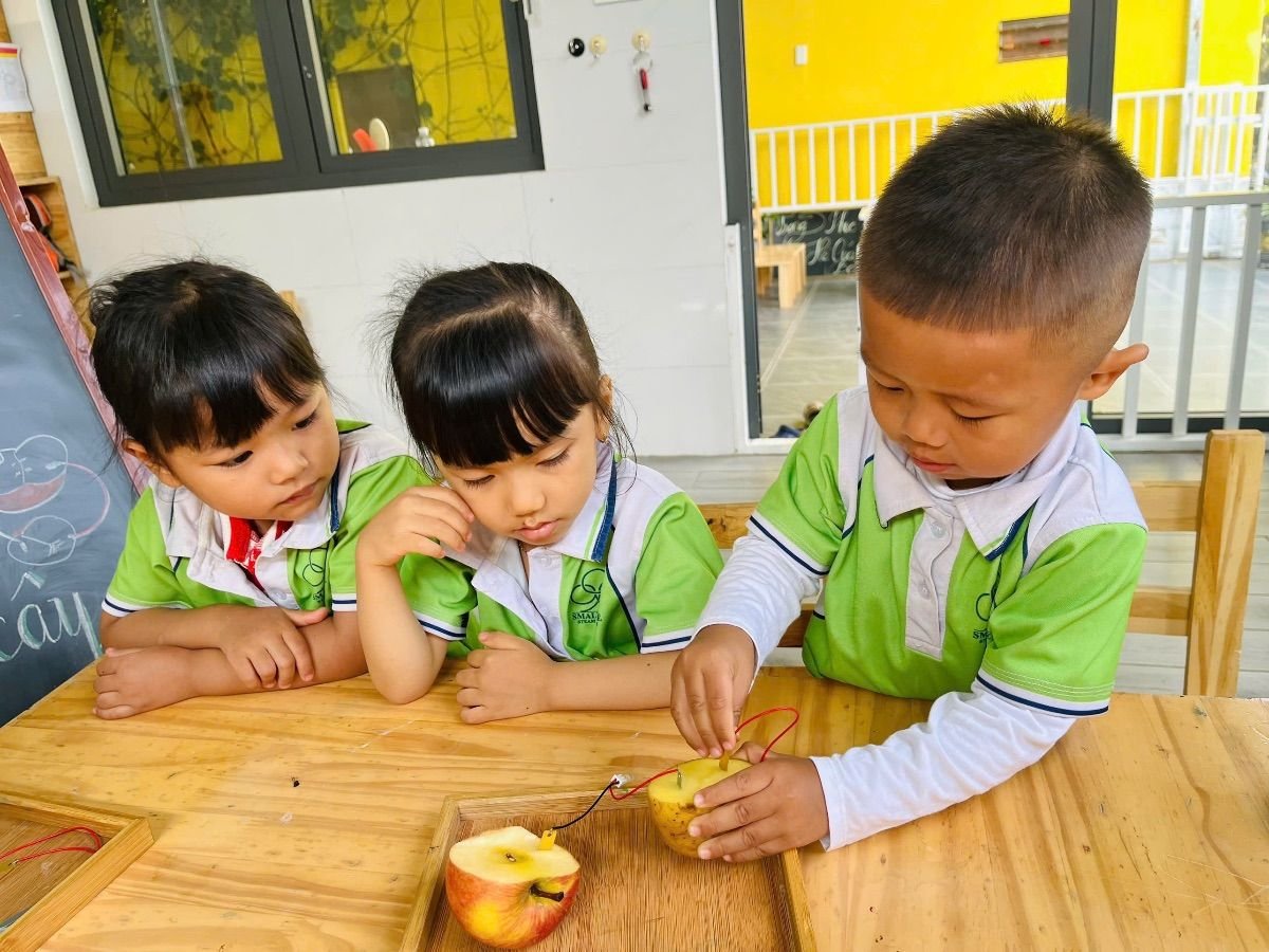 Ảnh hoạt động