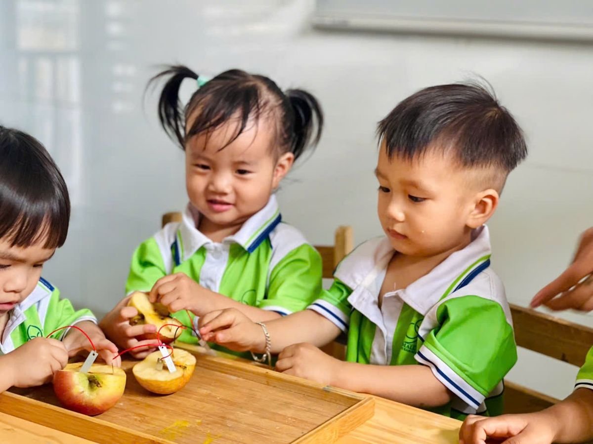 Ảnh hoạt động