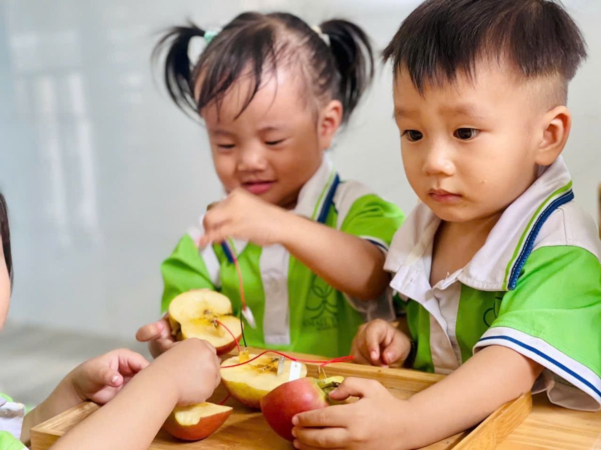 Ảnh hoạt động