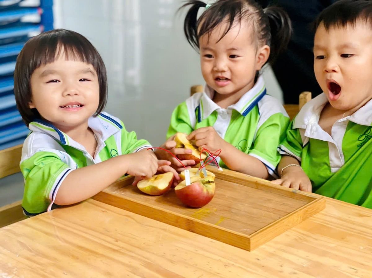 Ảnh hoạt động
