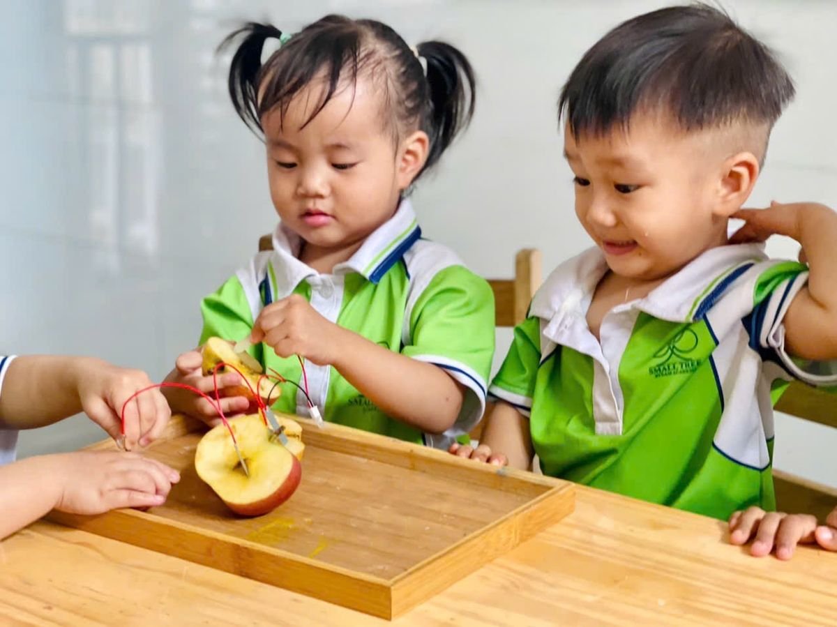Ảnh hoạt động