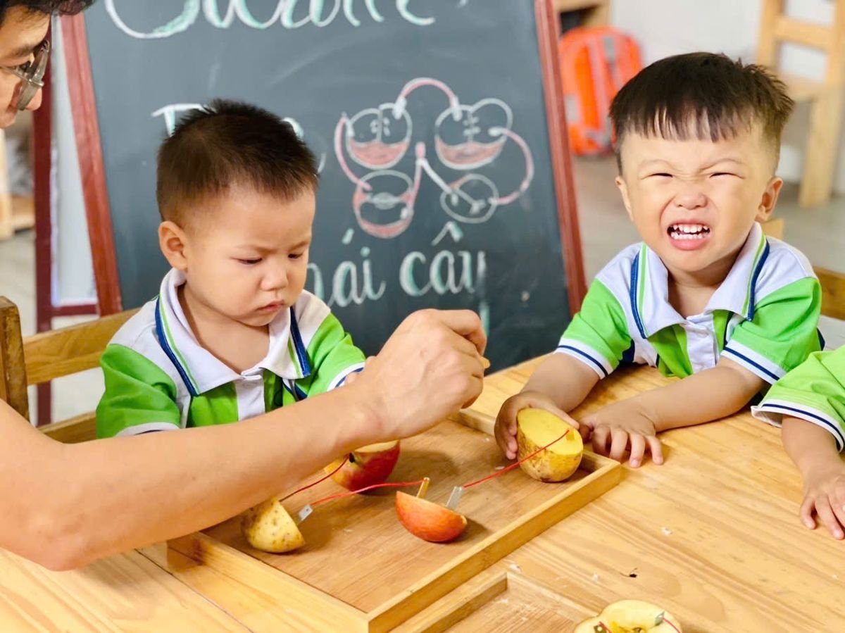 Ảnh hoạt động