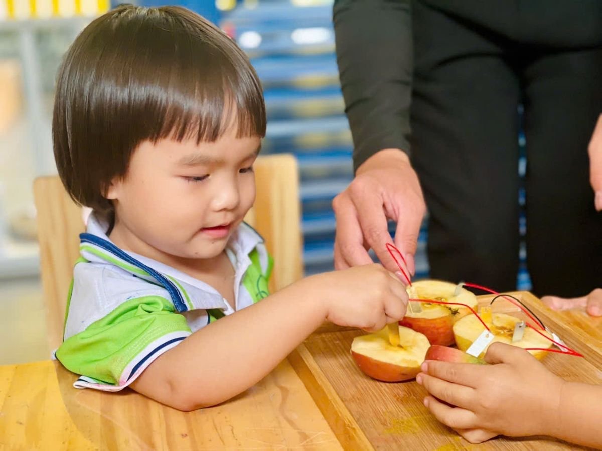 Ảnh hoạt động