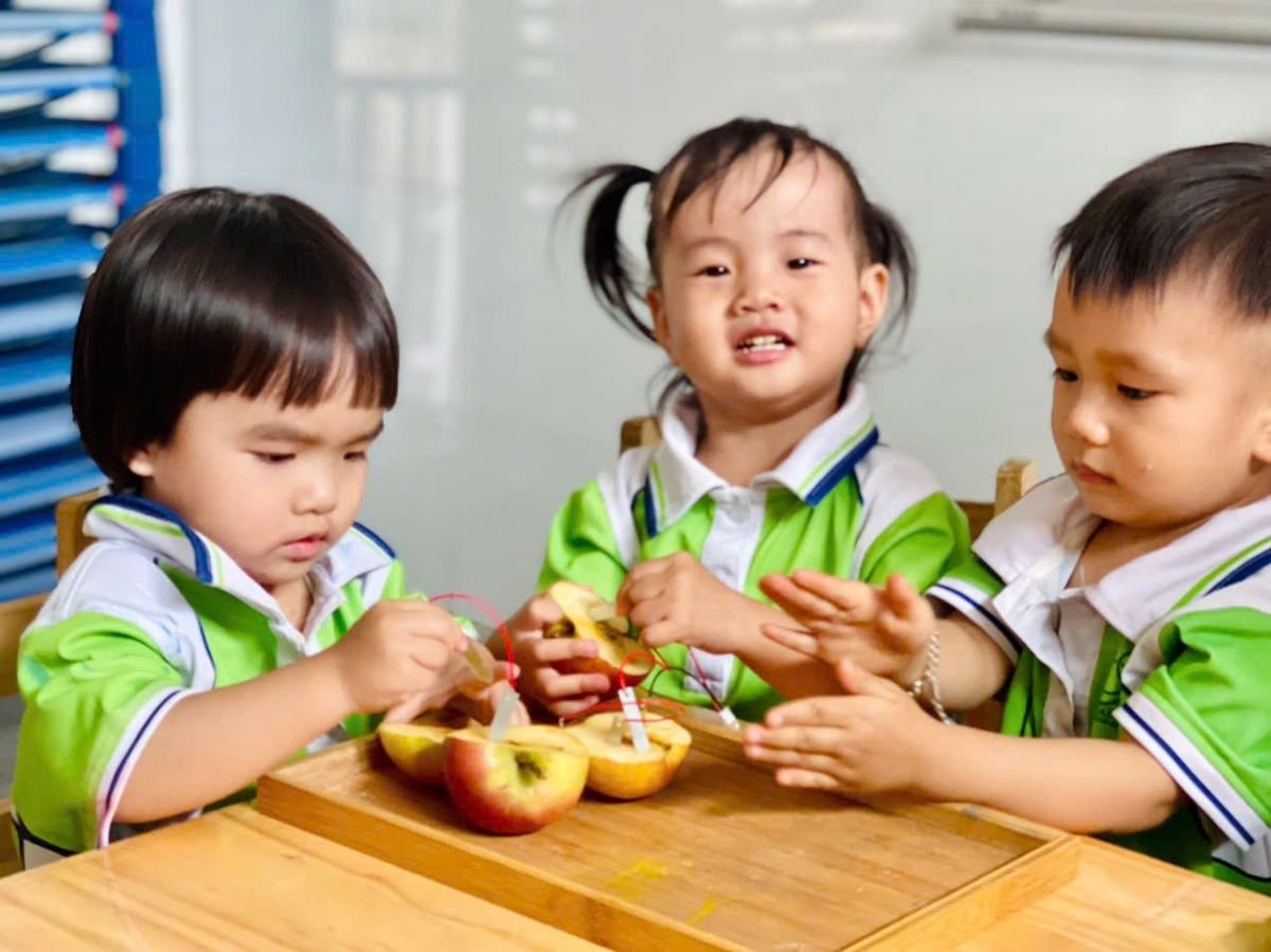 Ảnh hoạt động