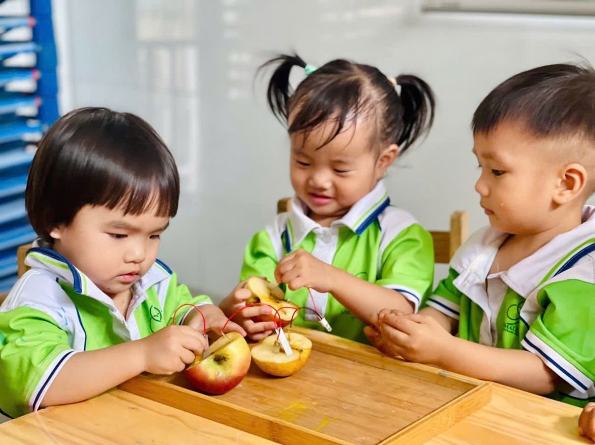 Ảnh hoạt động