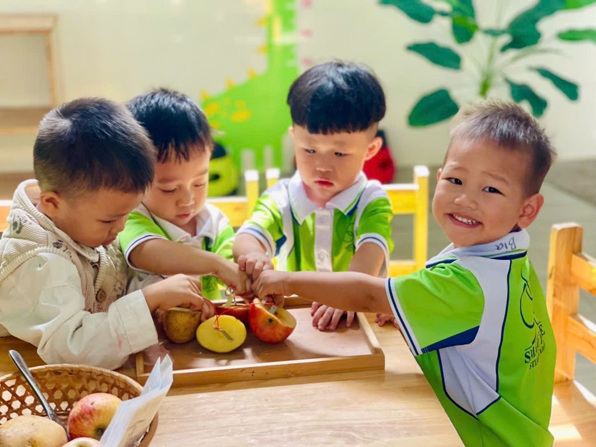 Ảnh hoạt động