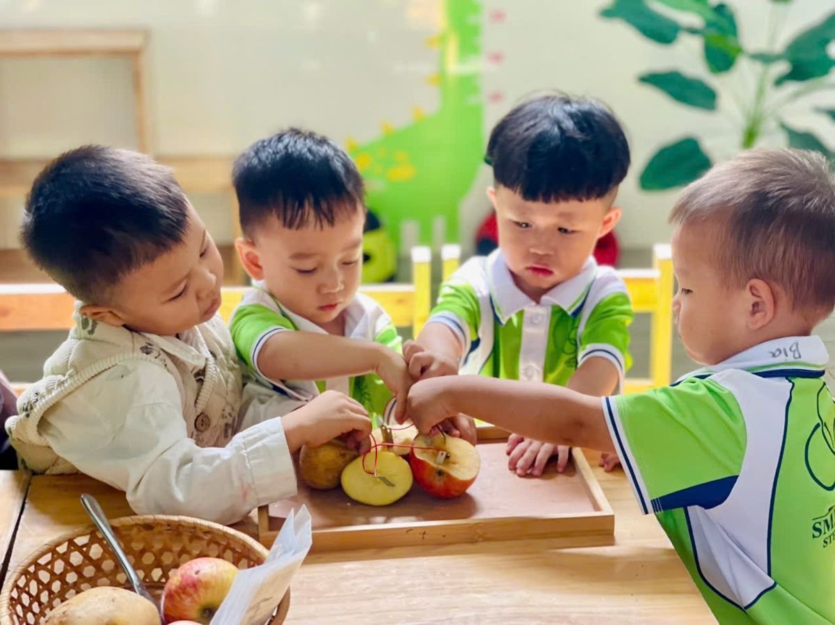 Ảnh hoạt động