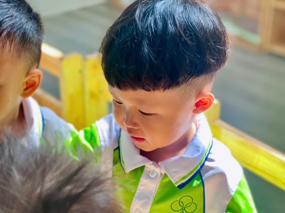 Ảnh hoạt động