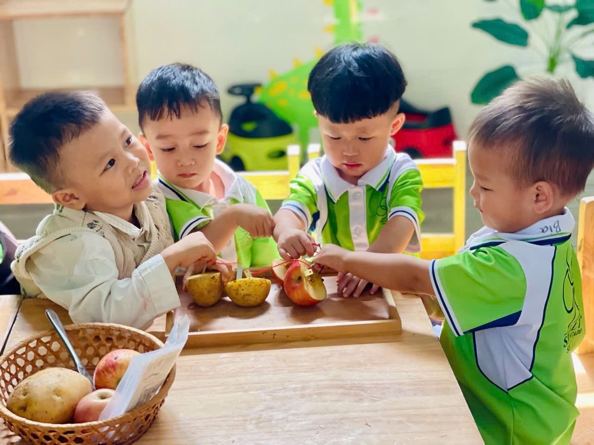 Ảnh hoạt động